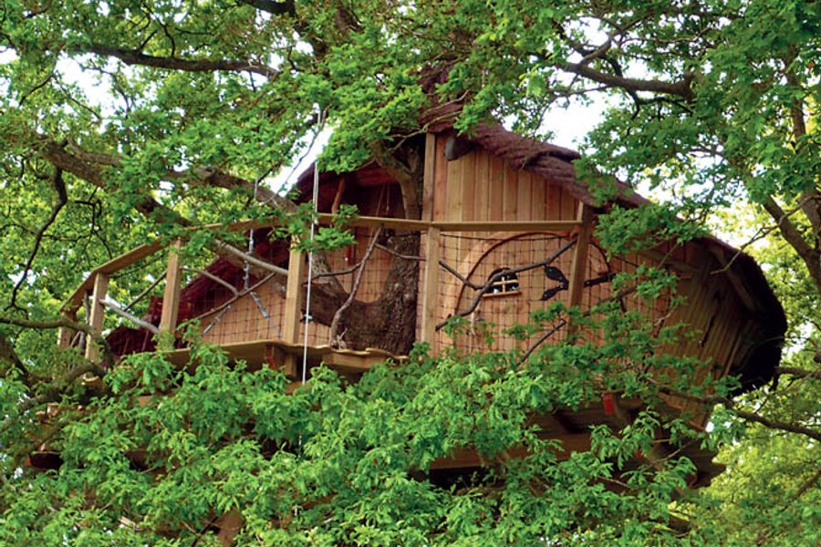 Cabane des Farfadets — photo 2