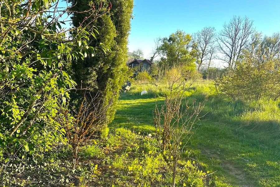 Cabane perchée du Frêne — photo 2