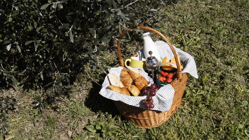 Domaine AbracadaRoom : Les Roulottes d'Yguaris - Image 13