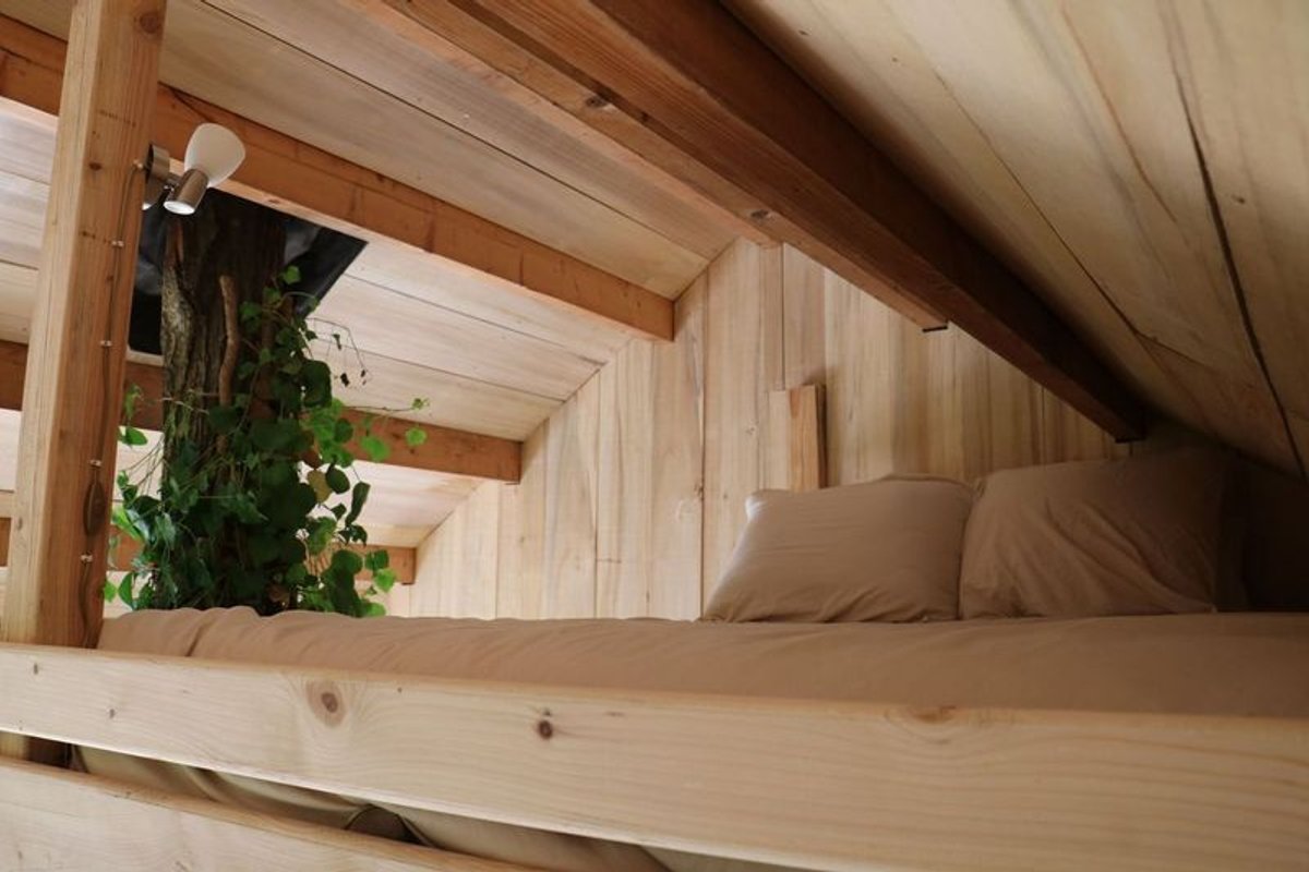 La Cabane de La Tortillère à Marcay (14)