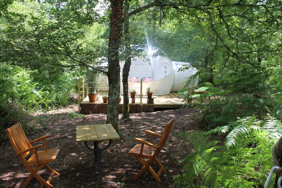 Domaine AbracadaRoom : Au Pays des Bulles - Image 2