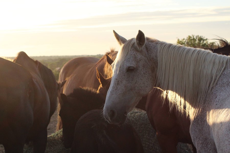 Domaine AbracadaRoom : Domaine des Pierres Jumelles - Image 6