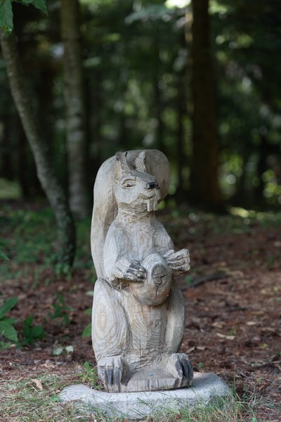 Hébergement AbracadaRoom : Cabane Ecureuil - Image 9