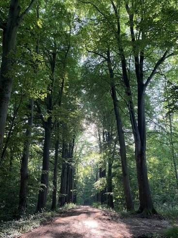 Domaine AbracadaRoom : Domaine de Fontaine Châtel - Image 4