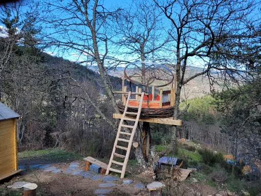 Hébergement AbracadaRoom : Le Nid, perché à la cime de l'arbre - Image 7