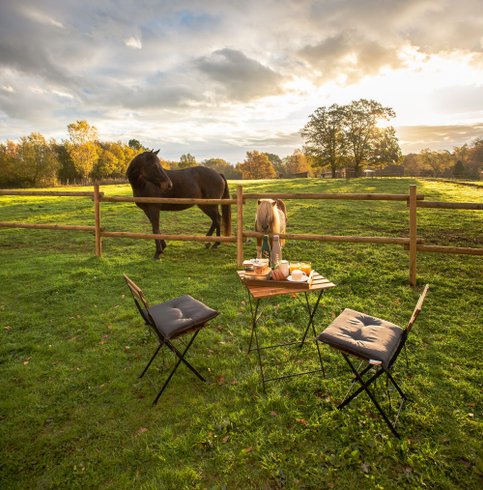 Hébergement AbracadaRoom : Homnest - Prairie des Âmes Heureuses - Occitanie - Image 18