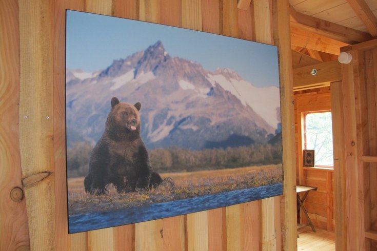 Hébergement AbracadaRoom : Cabane de la Grande Ourse - Image 6