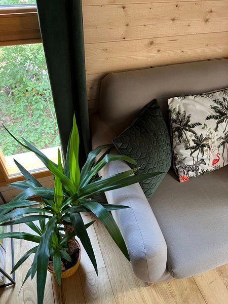 Hébergement AbracadaRoom : Cabane Petit Bois & Spa & Sauna - Image 12