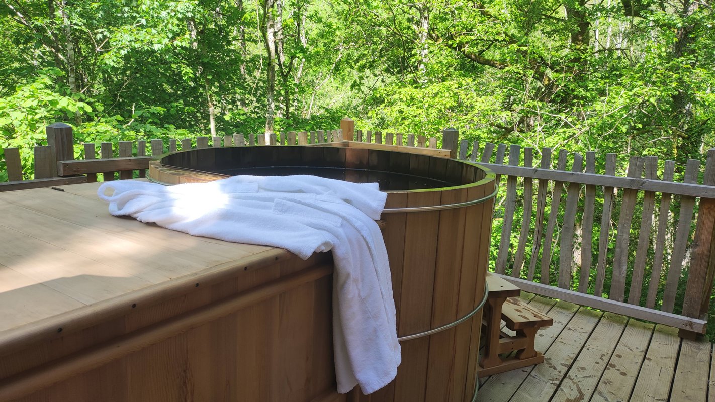 Cabane féérique  Spa - Cigogne noire à Vernois Les Vesvres (14)