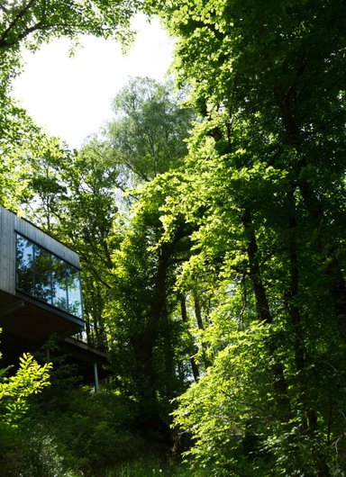 Cabane Cèdre à Meyrignac L’eglise