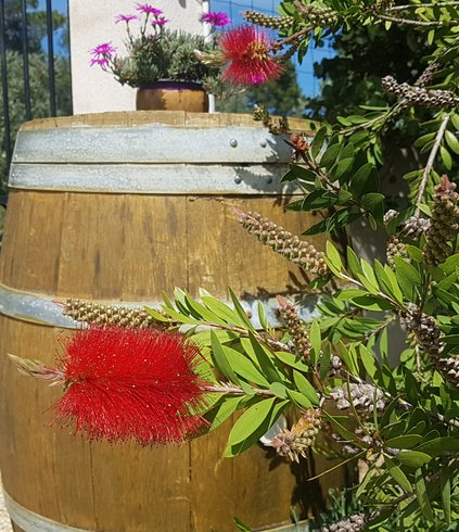 Domaine AbracadaRoom : Le Mas Pinède - Image 15