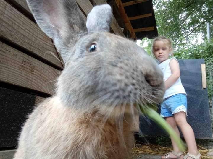 Domaine AbracadaRoom : Ecoland - Image 13