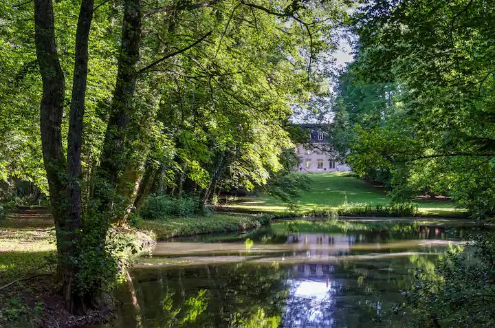 Hébergement AbracadaRoom : Alice Wilson douceur insolite - Image 5