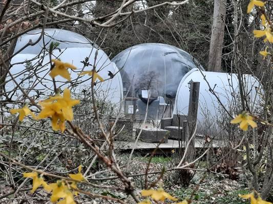 Domaine AbracadaRoom : Au Calme Absolu - Image 2