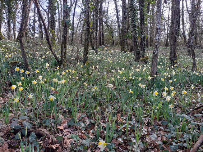 Domaine AbracadaRoom : A la douceur des chênes - Image 8