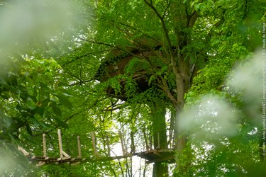 La cabane Haut-Perchée & Spa à Wail (1)