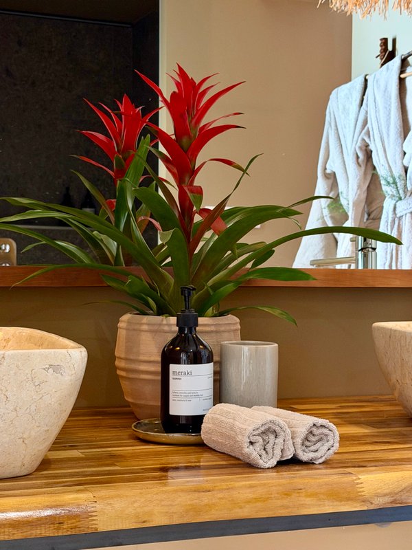 Suite Brésilienne de Luxe • Jacuzzi Privé• Cognac à Cognac (11)