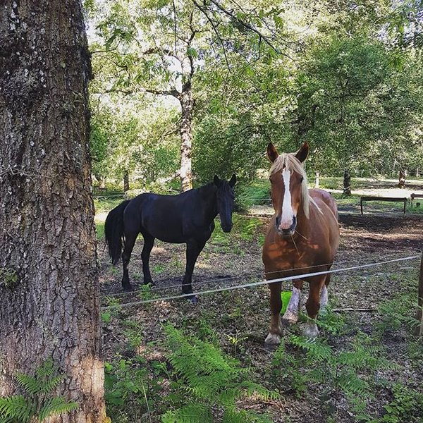 Domaine AbracadaRoom : Les Landines - Image 14
