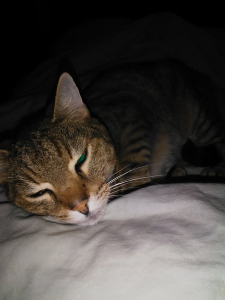 Domaine AbracadaRoom : Gîte Familial Scaravella - Image 17