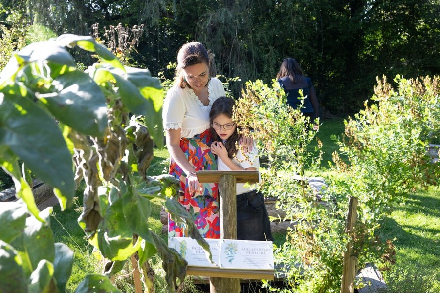 Domaine AbracadaRoom : Cabanes de la Belle - Image 13