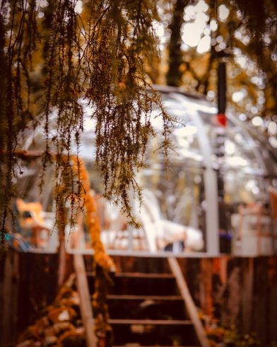 Hébergement AbracadaRoom : Dôm'Exotic & son bain nordique - Image 9