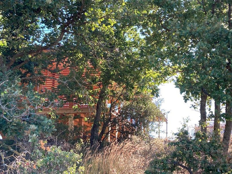 Hébergement AbracadaRoom : La Cabane perchée "A perte de vue" - Image 31