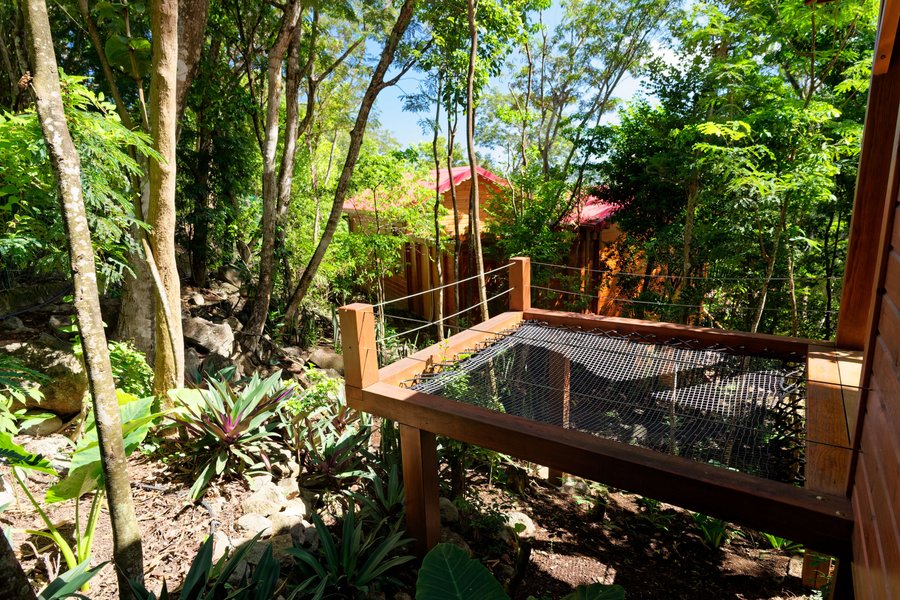 Hébergement AbracadaRoom : Le Nid des Colibris - Image 14