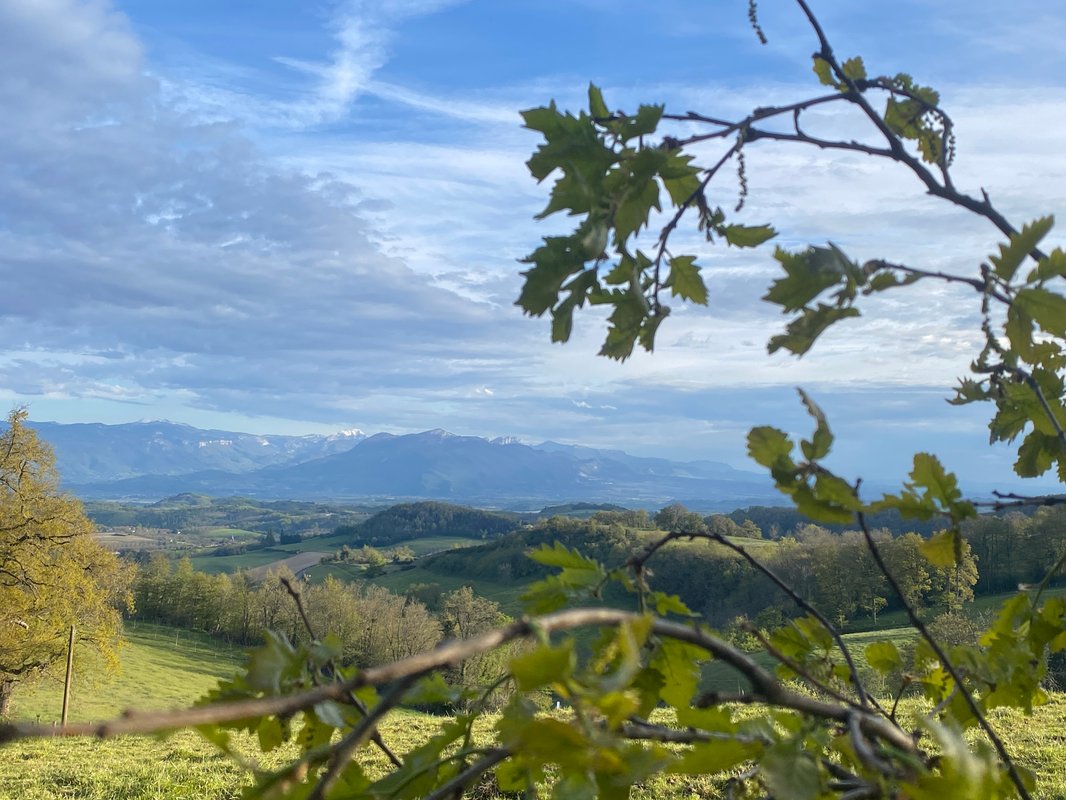 Terrasse des Chambarans - Panorama sur le Vercors à Bessins (38)