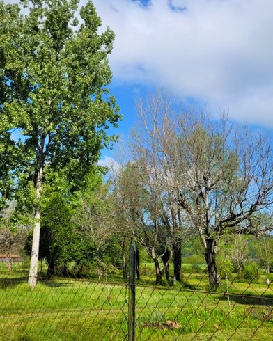 Domaine AbracadaRoom : Camping le Sorbier - Image 6