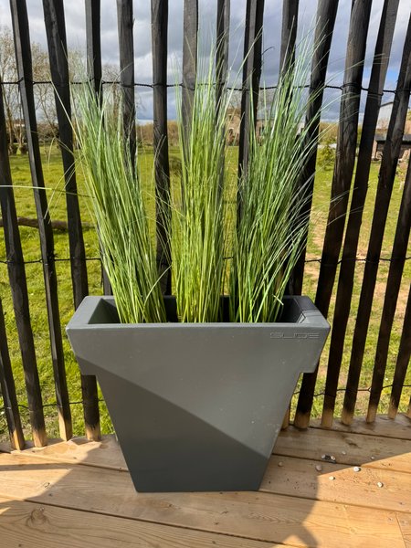 Hébergement AbracadaRoom : Dôme étoilé - Image 24