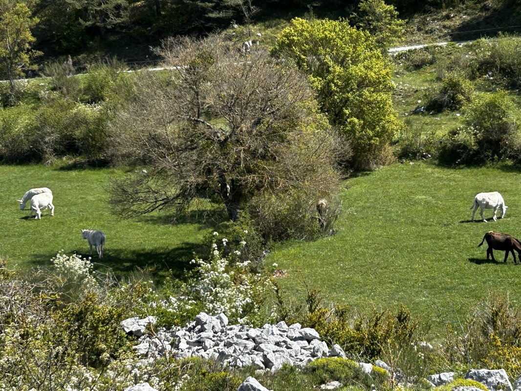 TENTE VOIE LACTEE à Bézaudun-Les-Alpes (9)