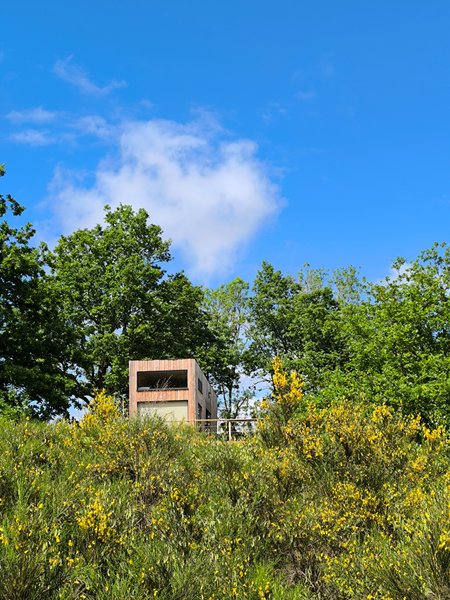 Domaine AbracadaRoom : Moose tiny House Genêts - Image 1