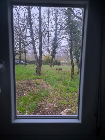 Hébergement AbracadaRoom : Le Refuge Des Bois de Morphée - Image 9