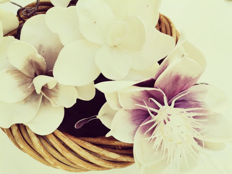 Hébergement AbracadaRoom : La Bulle des Nymphes - Image 7