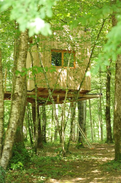 Hébergement AbracadaRoom : Cabane Ecureuil - Image 4