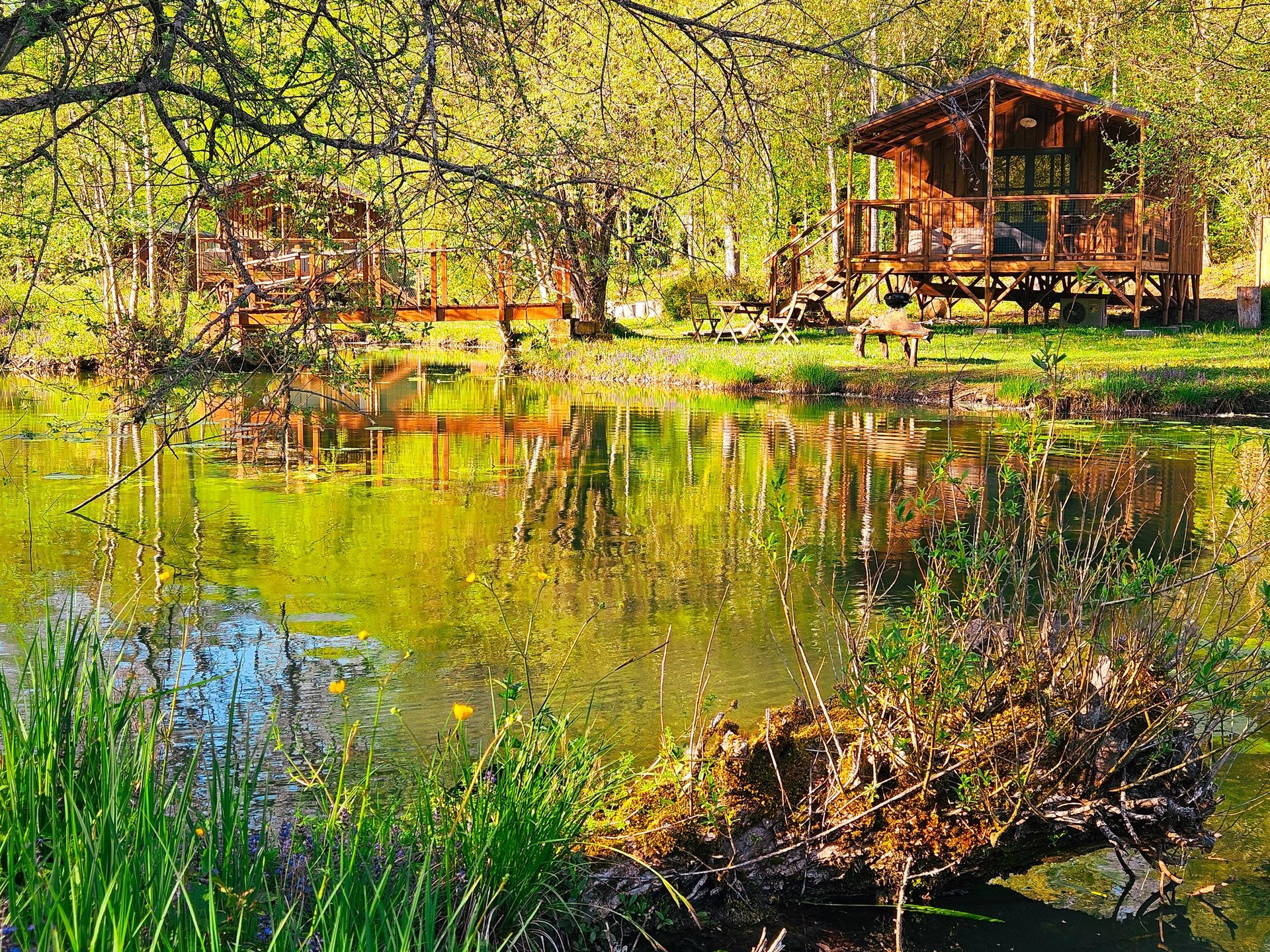 La Cabane du Héron, lodge sur pilotis, étang, nature, biodiversité
