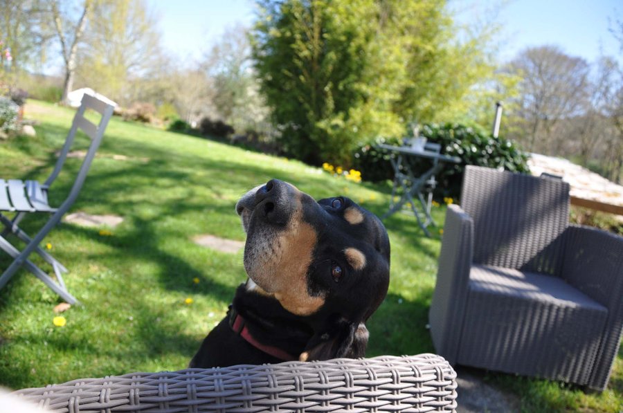 Domaine AbracadaRoom : Les Ânes de Vassivière - Image 17