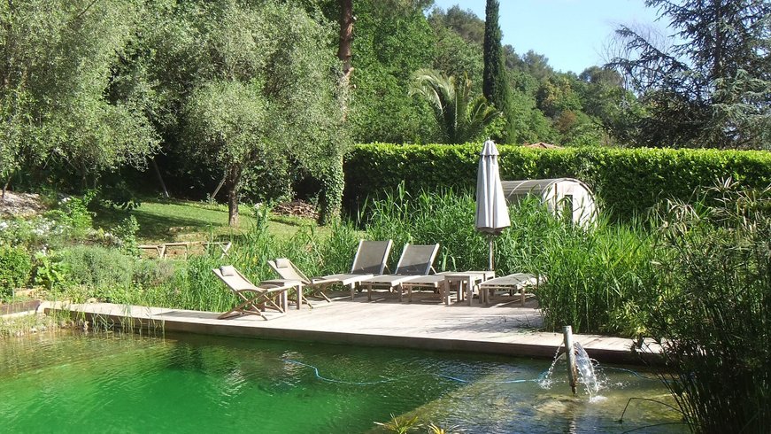Domaine AbracadaRoom : Orion Treehouses - Image 8