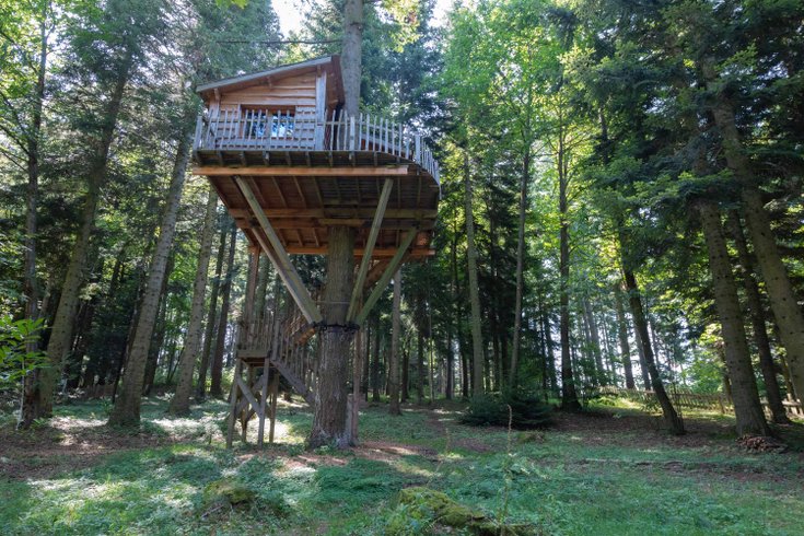 Hébergement AbracadaRoom : Cabane Hérisson - Image 9
