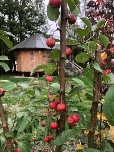 Hébergement AbracadaRoom : Le P'tiot Utau - Image 7