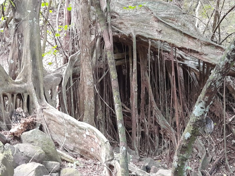 Hébergement AbracadaRoom : Ti Kaz Anoli - Image 12