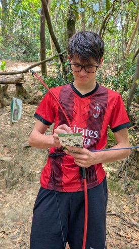 Domaine AbracadaRoom : Les Cabanes dans les bois - Image 29