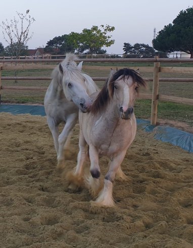 Domaine AbracadaRoom : Le Spa des Indes - Image 11