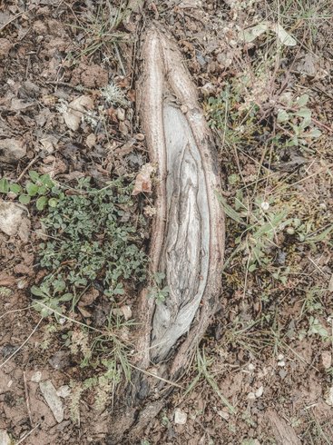 Domaine AbracadaRoom : Domaine Amaia - Image 13