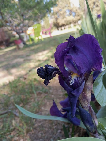 Hébergement AbracadaRoom : La Roulotte Spa Gitane - Image 33