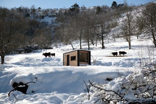 Homnest (Escouloubre)