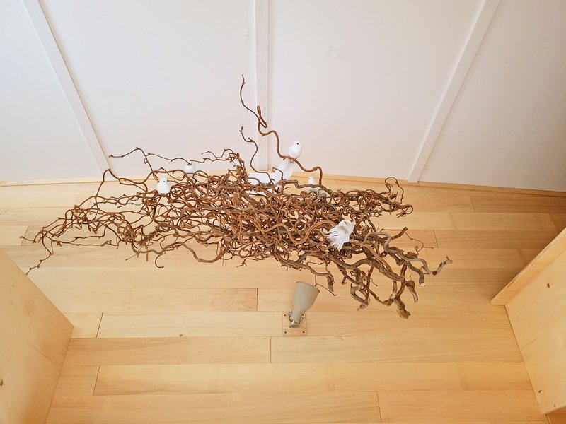 Hébergement AbracadaRoom : Tiny house Ecureuil - Image 9