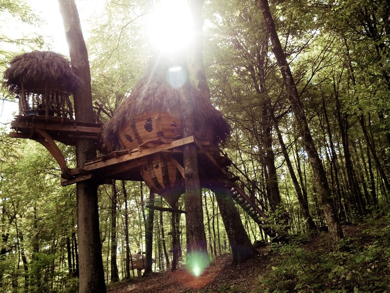 Domaine AbracadaRoom : L'Arbre à Cabane - Image 7