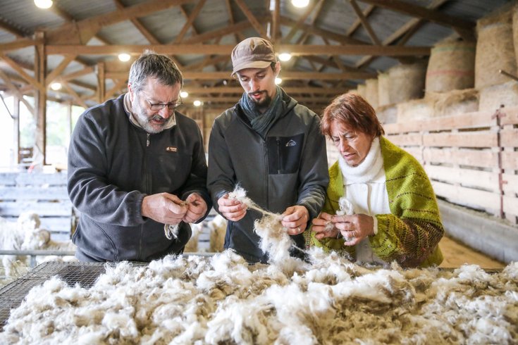 Domaine AbracadaRoom : Ferme de Courneillac - Image 2