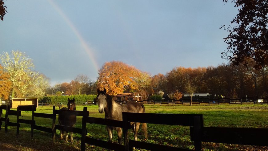 Domaine AbracadaRoom : Le Ranch Amadeus - Image 1